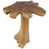 Table basse Root 60cm teck