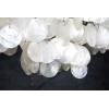 Lustre Shell Rings L en blanc