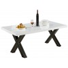 Table de salle à manger ultra design en acier inoxydable poli et plateau au choix BOOMST