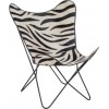 Chaise Salon Cuir/ Metal Zebre