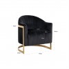 Fauteuil Melody Antraciet velvet / brushed gold