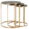 Table d'appoint  Basse Richmond Interiors Calesta Bijzettafel Set Rond End table Calesta set of 3 round shagreen look