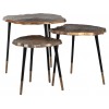 Richmond Interiors Sherman Salontafel Set Coffee table Sherman set of 3